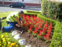 /album/plantacion/plantacion-1-mini-jpg/